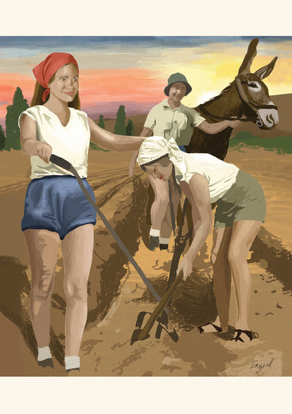 לוח שנה 2025/26 מכירה מוקדמת