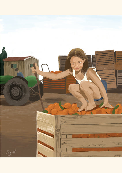 לוח שנה 2025/26 מכירה מוקדמת